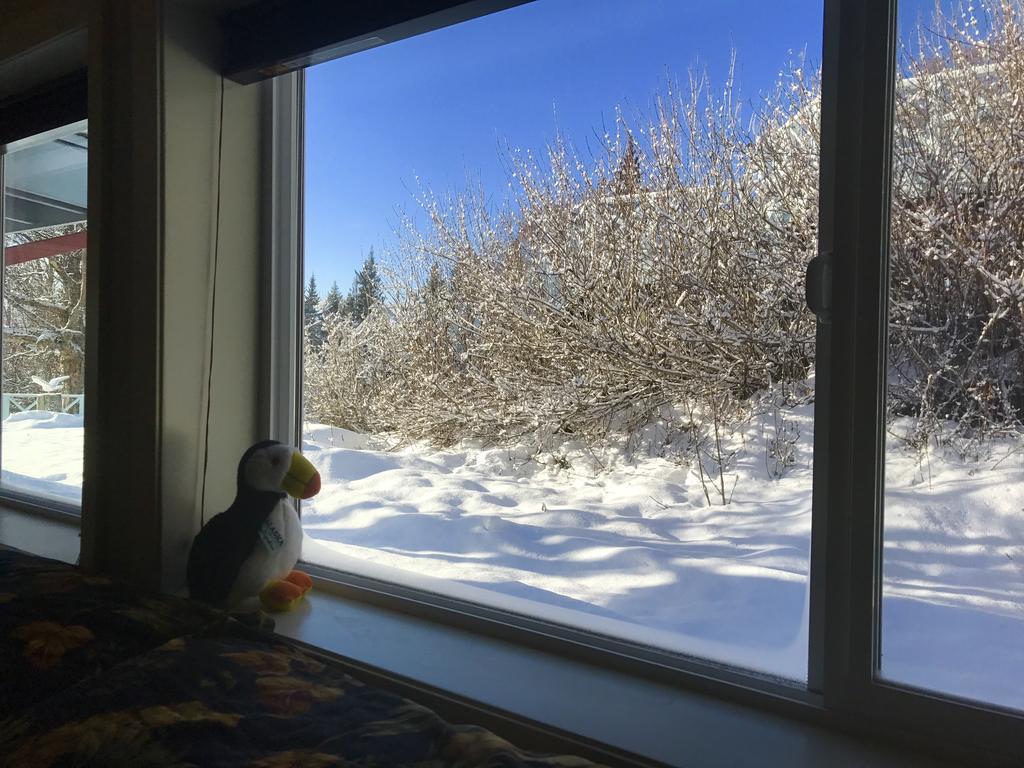 Halcyon Heights B&B/Inn Homer Zewnętrze zdjęcie