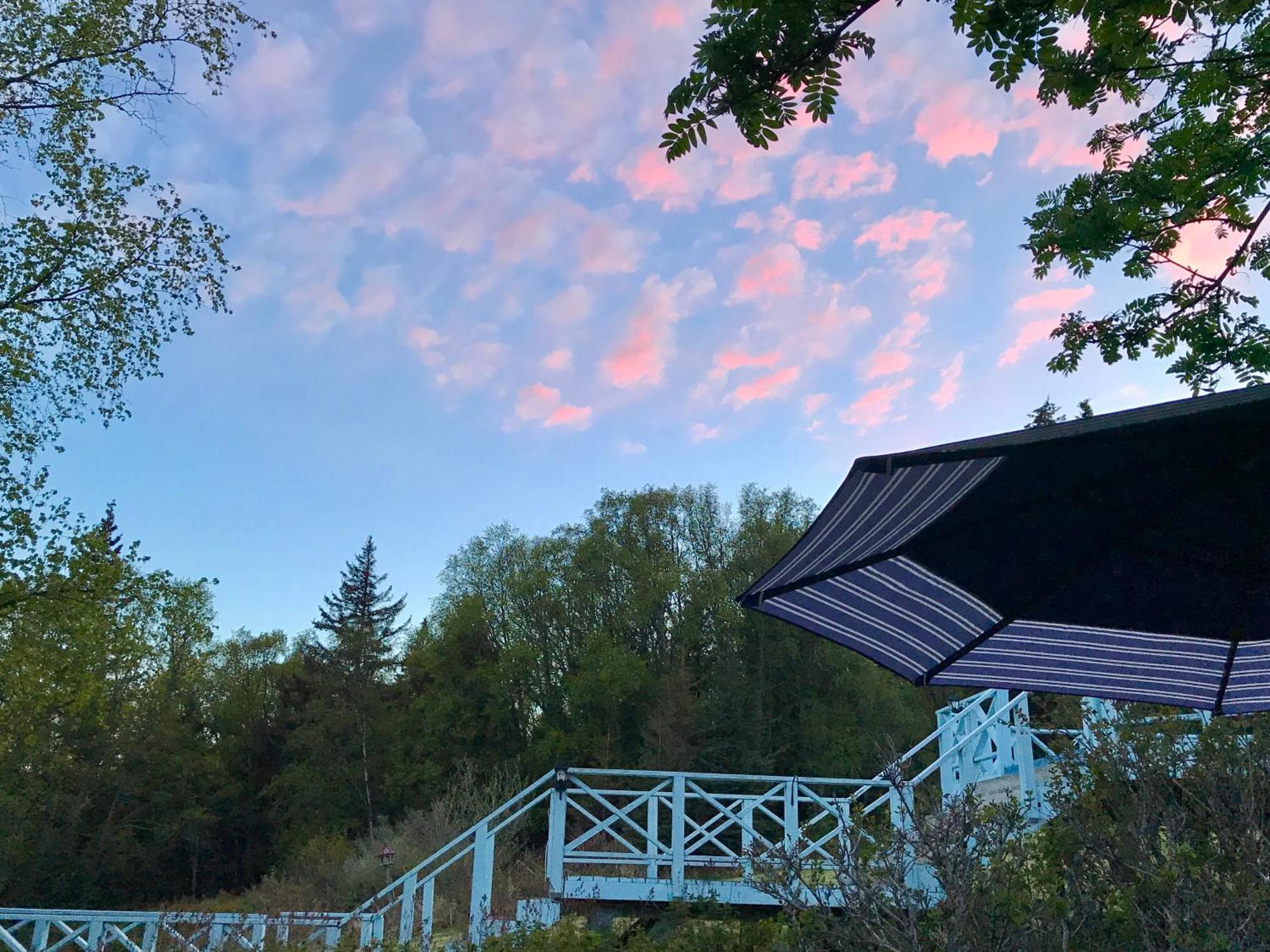 Halcyon Heights B&B/Inn Homer Zewnętrze zdjęcie